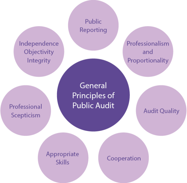Figure 3. General Principles of Public Audit - Public reporting, Professionalism and proportionality, Audit quality, cooperation, Appropriate skills, Professional scepticism, Independence objectivity integrity