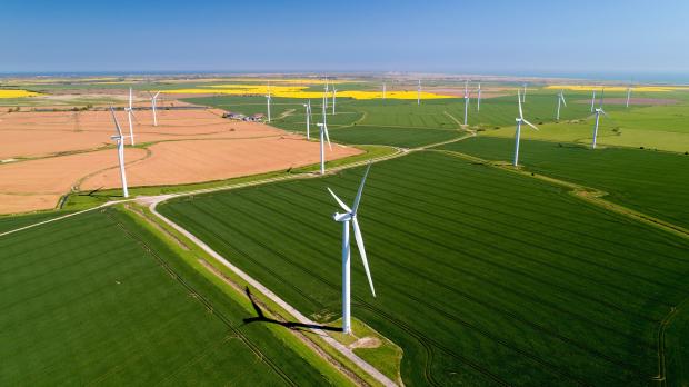 Wind turbines in a field
