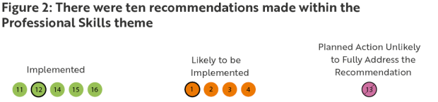 Figure 2 - There were ten recommendations made within the Professional Skills theme