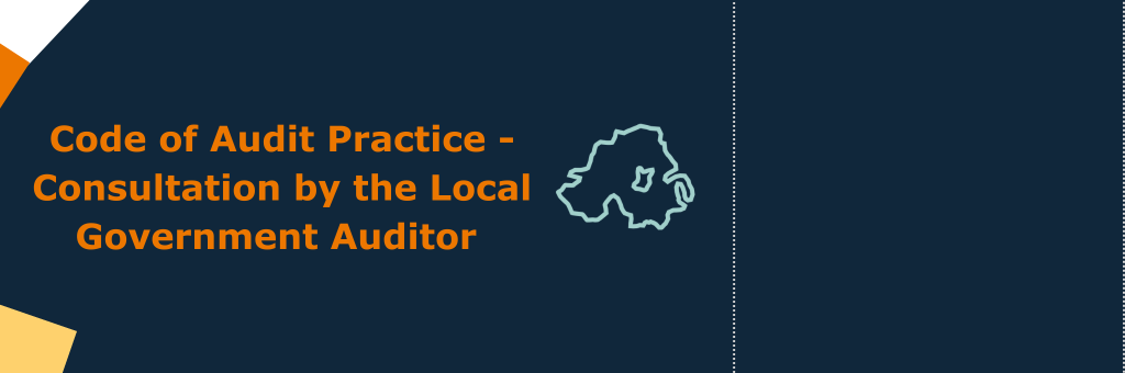 Consultation by the Local Government Auditor open